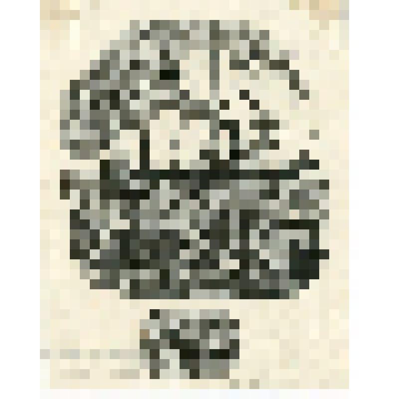 Корабль