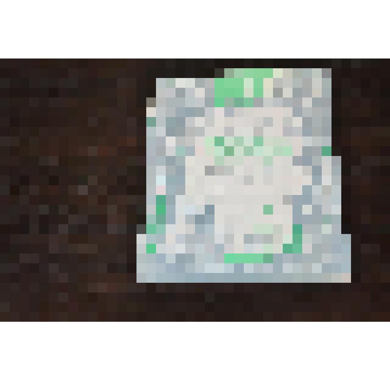 Книга. Николай Сидоров. Волшебник-невидимка. Рассказы и сказки для детей. Издательство Владимир «Золотые ворота» 1996 г