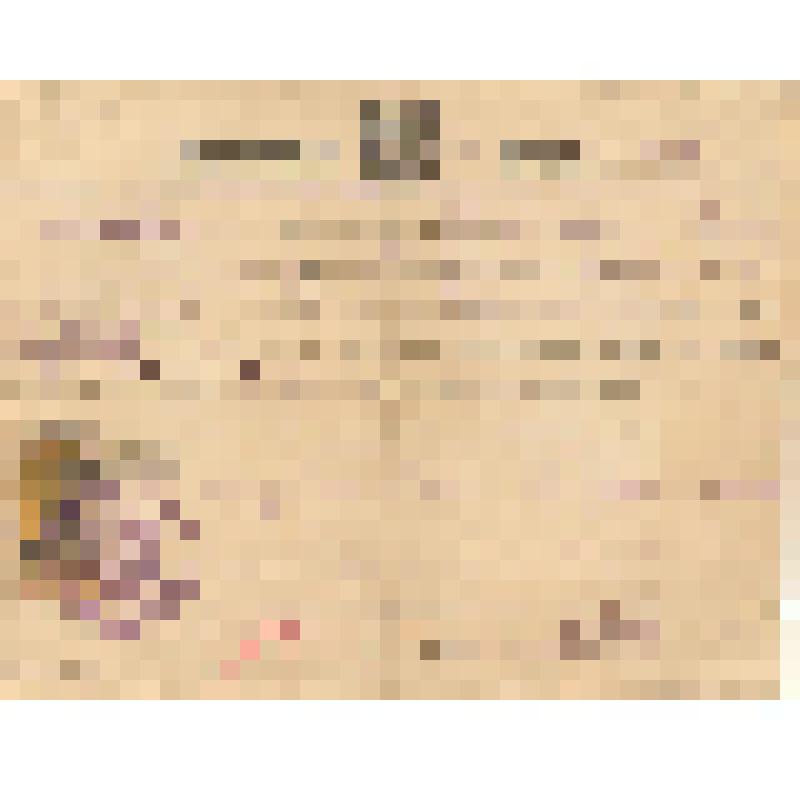 Свидетельство о браке № 371 Борисенко Григория Тихоновича и Литвиненко Ольги Емельяновны, 16.07.1926 г