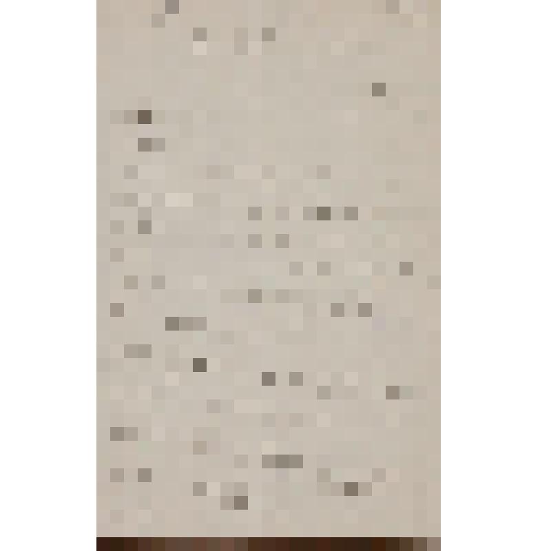 Кашперов Владимир Никитич. Письмо Островскому А. Н. о постановке своей оперы в следующем сезоне