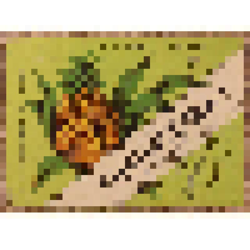 Этикетка бутылочная к напитку «Ананасовый» производства Кишиневского пивзавода, из коллекции этикеток бутылочных к минеральной воде, безалкогольным напиткам, сокам, сиропам