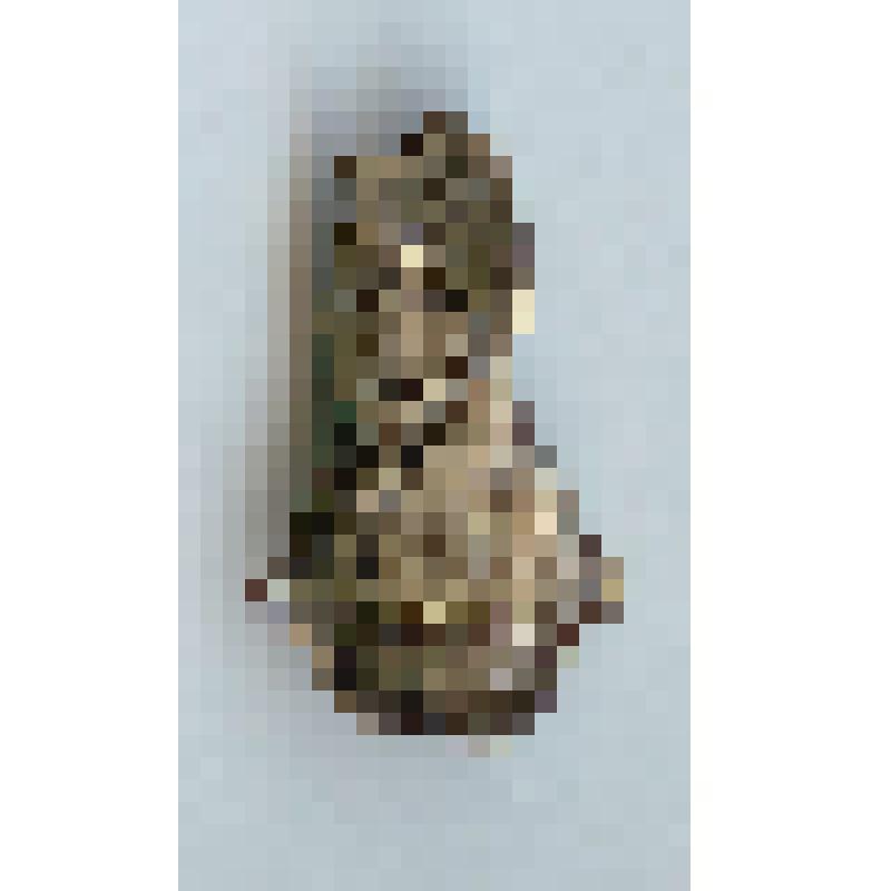 Значок нагрудный «Waterloo»