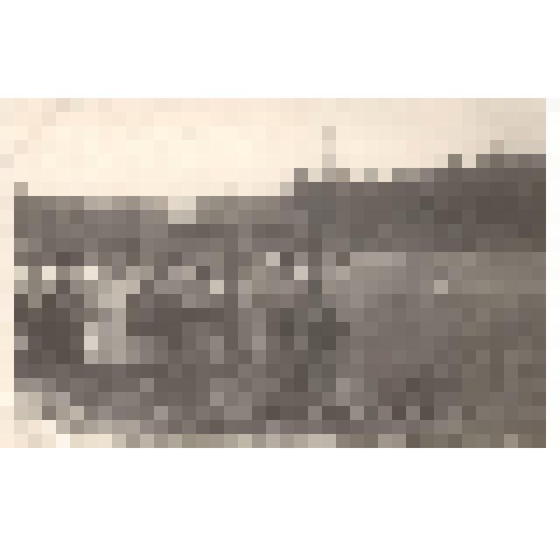 Фото: Летняя спартакиада