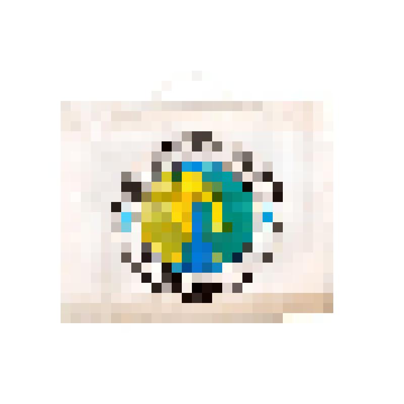 Пакет пластиковый с пластмассовыми ручками белого цвета с изображением эмблемы кампании "Сахалин Энерджи"