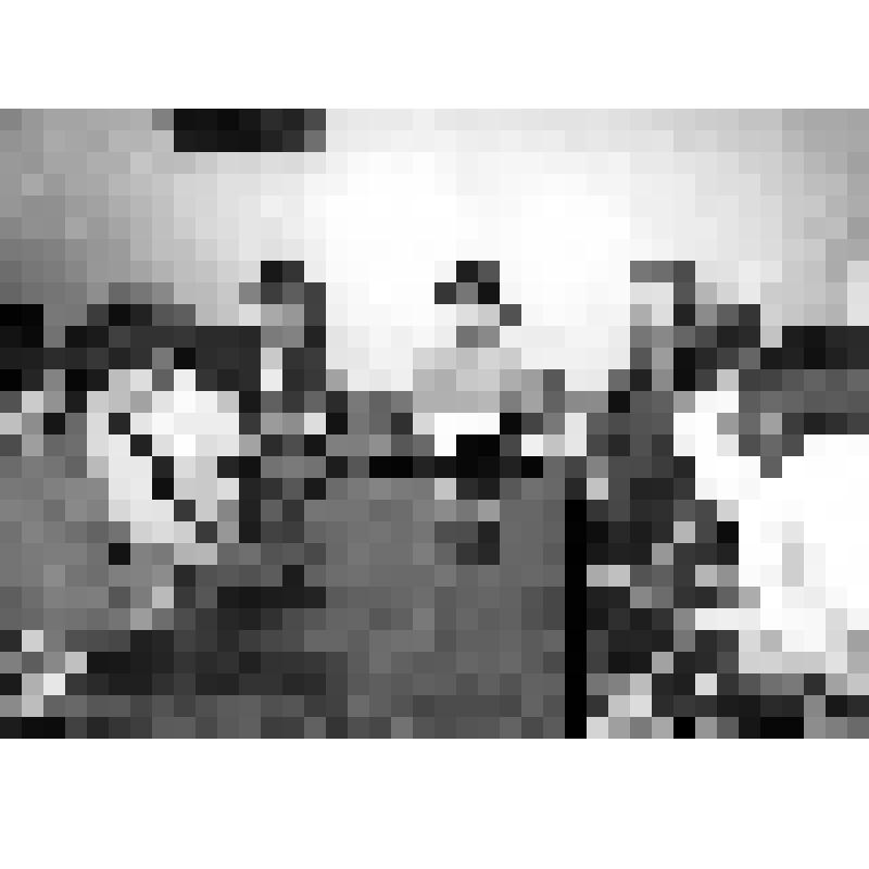 Д.Н.Бугаенко и члены его семьи в кабинете секретаря парткома колхоза им. XX партсъезда Л.И.Бессонниковой накануне поездки в Москву на XXVI съезд КПСС