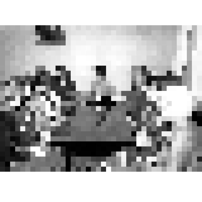 Дмитрий Никитович Бугаенко и члены его семьи на приеме у руководства колхоза имени XX партсъезда (председатель - И.С.Дрожко)