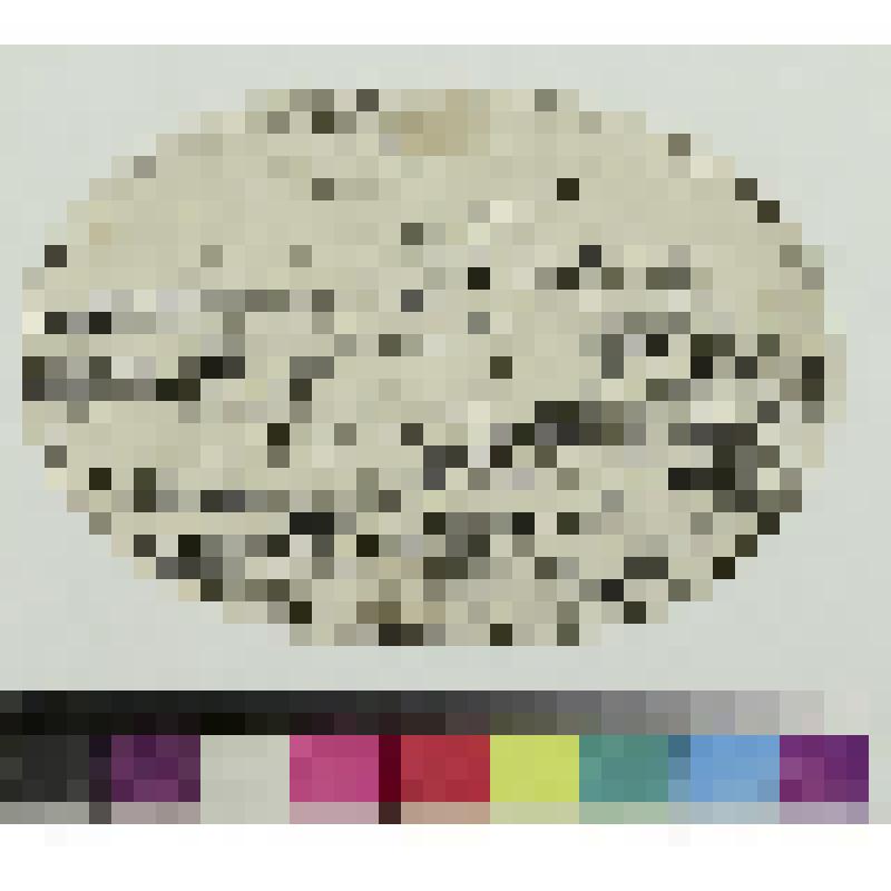 Спящий Амур, гравюра