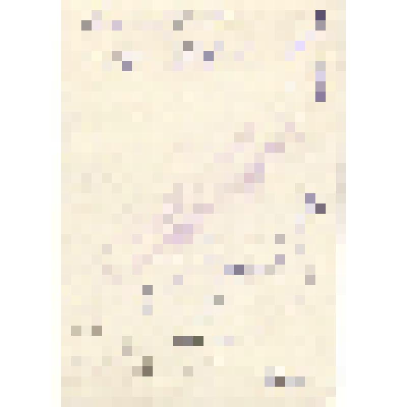 Фотография. Павлов И.С. - почетный гражданин г.Луги, бывший начальник штаба 177 СД. (полурост, на фоне стеллажа.)