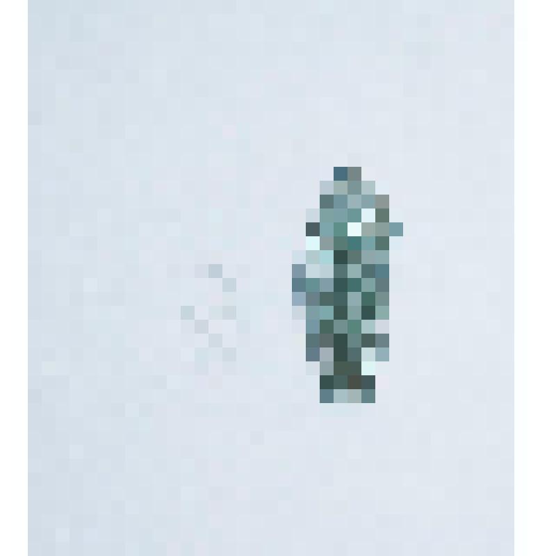 Монета. Монета (фрагмент). Дирхем. Караханиды