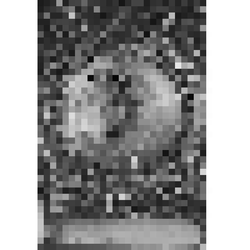 Большой дворец. Церковь. Ключи Бухарской крепости Ходжента, взятой русскими войсками 24 мая 1866 г