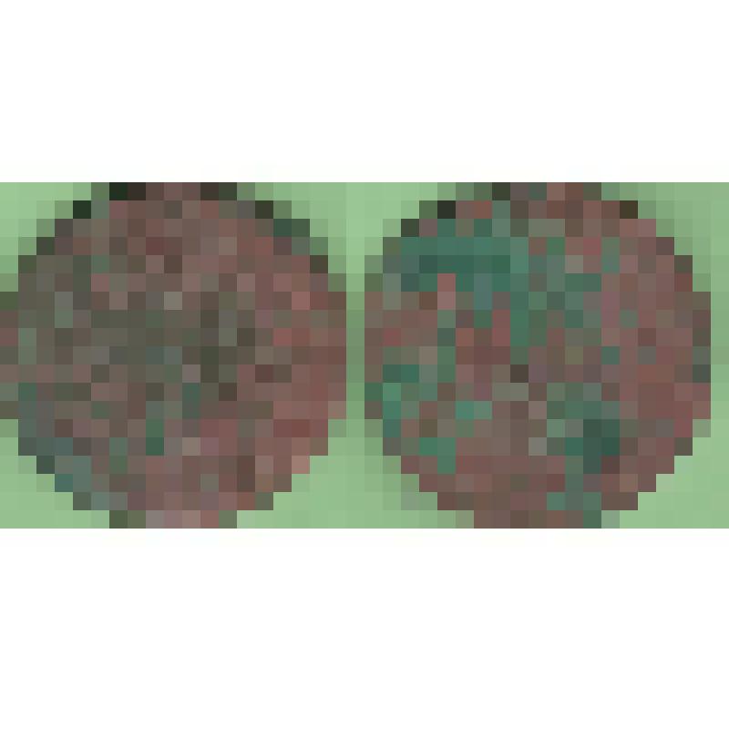 Монета 5 копеек 1759 года