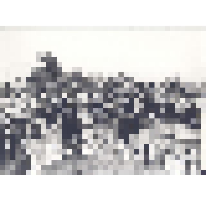 Фото. На республиканском празднике "Тальян мондары". Участники из Кумертауского, Аскинского и Кармаскалинского районов БАССР. г.Уфа, май 1985 г