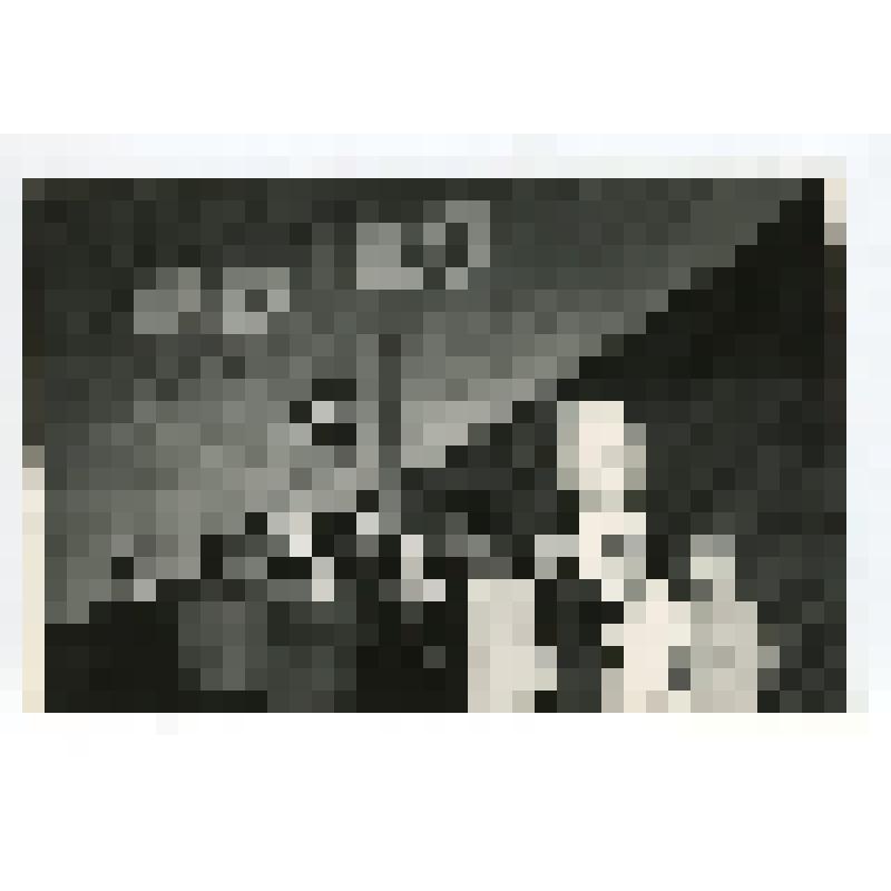 Фото групповое. Аппарат РК ВЛКСМ