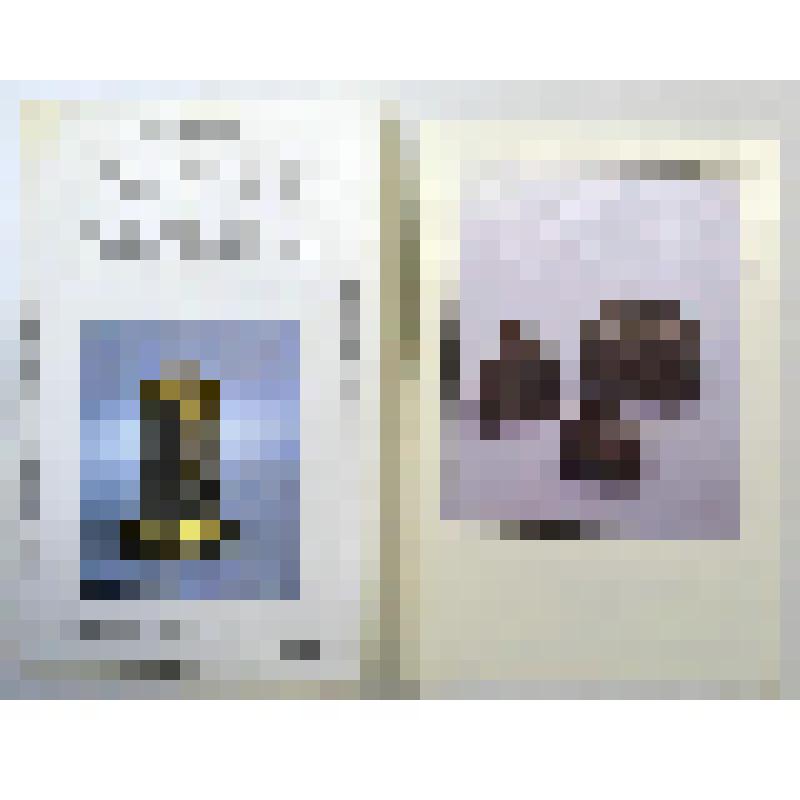 Документ. Открытка из набора открыток "Русское серебро". Всероссийский музей декоративно-прикладного и народного искусства. (Шкатулка в виде домика. Шкатулка в ивде сундучка. Шкатулка)