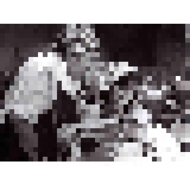 Фото. В цехе №1 Уфимского кожевенно-обувного комбината. Молодая работница Фаткуллина Г. и ее наставница Бурханбаева