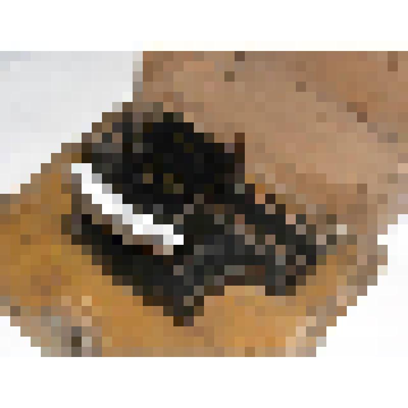 Пишущая машинка "Gladstonе" в  деревянном футляре, к. XIX - нач. ХХ в.(в наличие верхняя пластина, стойка, основание)