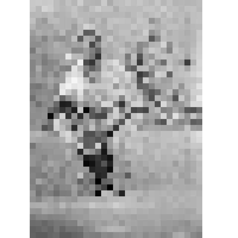 Фотонегатив. Национальный ансамбль Народной Республики Мозамбик.
На сцене 2 музыканта в национальных одеждах играют на ударных инструментах