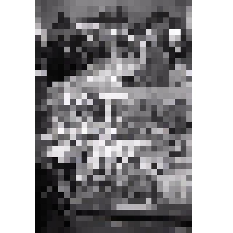 М.П.Колесников. "Открытие кафе "Пингвин" А.Черногоров". г.Ставрополь, 21.10.1999 г