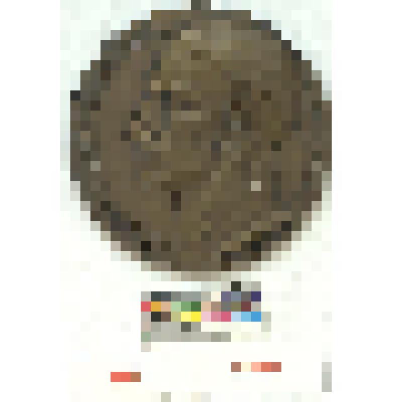 СССР. Медаль. 250 летие рождения Г.С. Сковороды. 1972 г