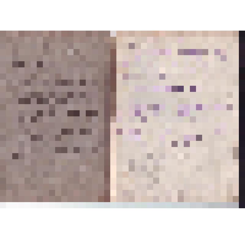 Тетрадь. Служебные записи, учебные планы