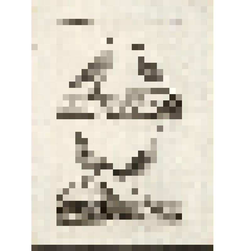 "Histoire Naturelle. Pl. X. Fig. 1. L'Echasse.Fig. 2. Le Pluvier. Fig.3.Le Vanneau arme de la Louisiana. Fig.4.Yacana arme D'America.Antonio Baratti sc. Гравюра