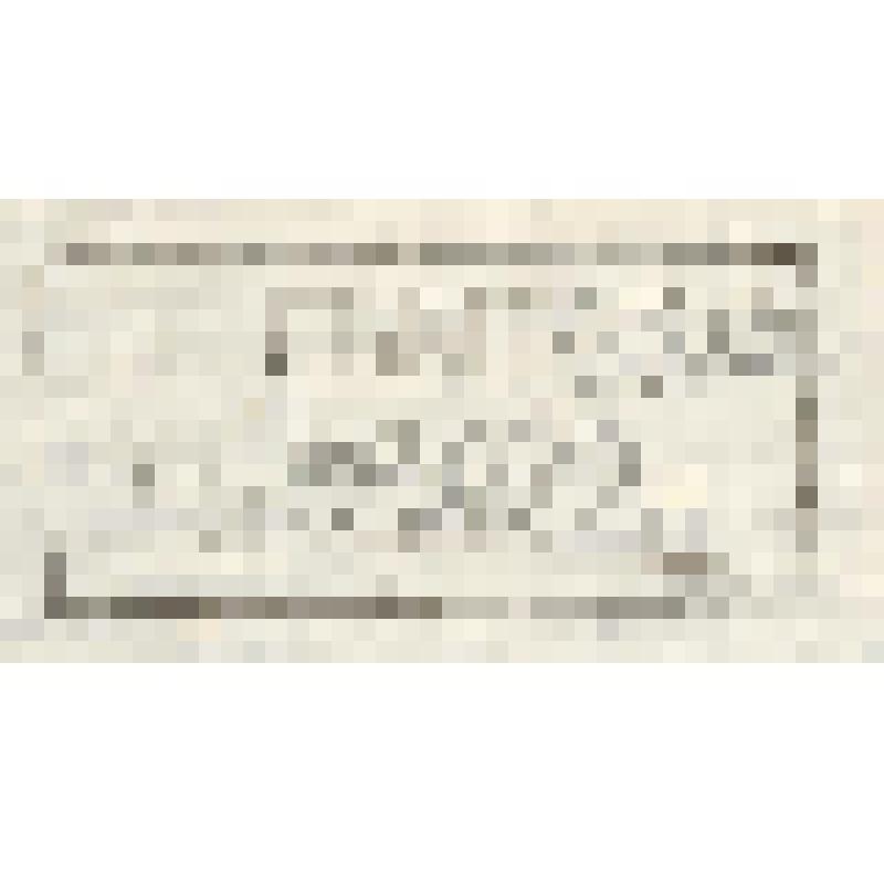 "Histoire Naturelle. Pl. X. Fig. 1. L'Echasse.Fig. 2. Le Pluvier. Fig.3.Le Vanneau arme de la Louisiana. Fig.4.Yacana arme D'America.Antonio Baratti sc. Гравюра