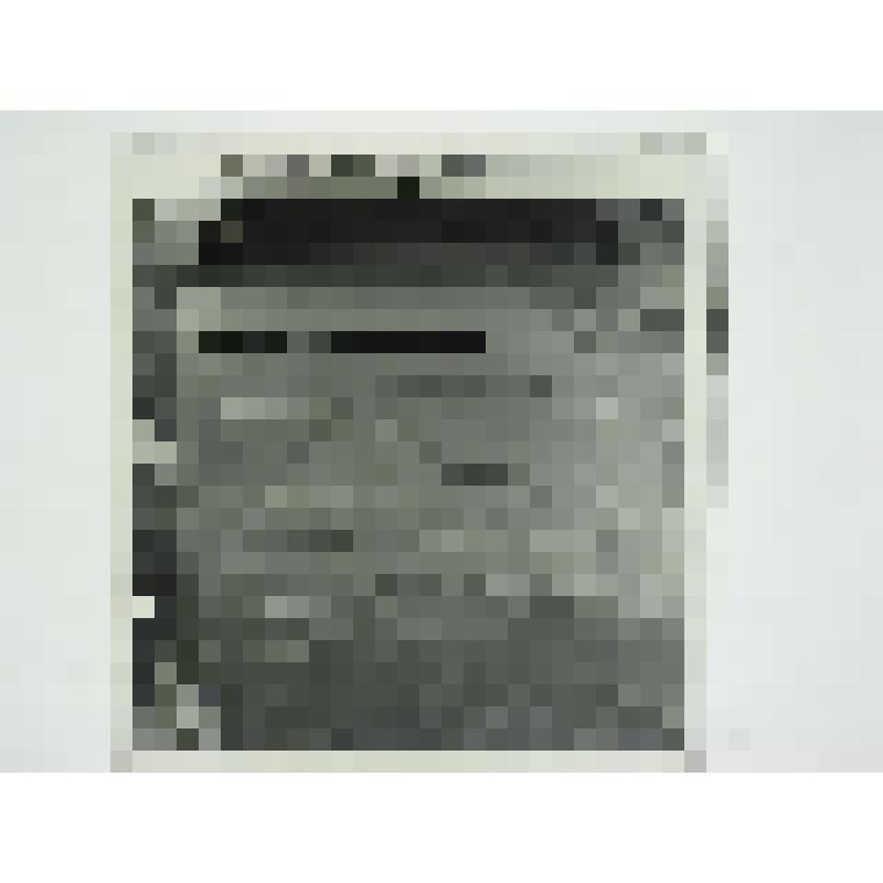 Дом В.К.Григорьева, ул. III Интернационала, 31/4. 1903 г. Челябинская  обл., Кусинский р-н, г. Куса. Дом В.К.Григорьева, ул. III Интернационала, 31/4. 1903 г. Ворота по улице III Интернационала. Вид со стороны двора