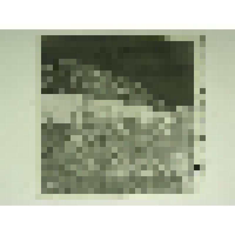 Дом Н.М.Беспалова. Ул. Привокзальная, 29. кон.XIX-нач.ХХ вв. Челябинская  обл., г. Карабаш, пос. Южный (с.Саймоновское). Дом Н.М.Беспалова. Ул. Привокзальная, 29. кон.XIX-нач.ХХ вв. Служебные постройки по южной и восточной границам усадьбы. Вид на восточн