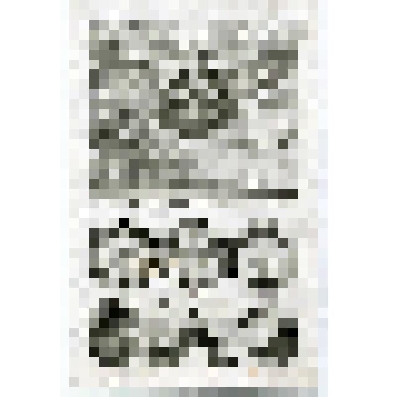 Офорт. Лист 182. Иллюстрации к посланиям Апостола Павла к Корянфянам, Колоссянам, Фессалоникийцам, Тимофею, Титу, Филимону