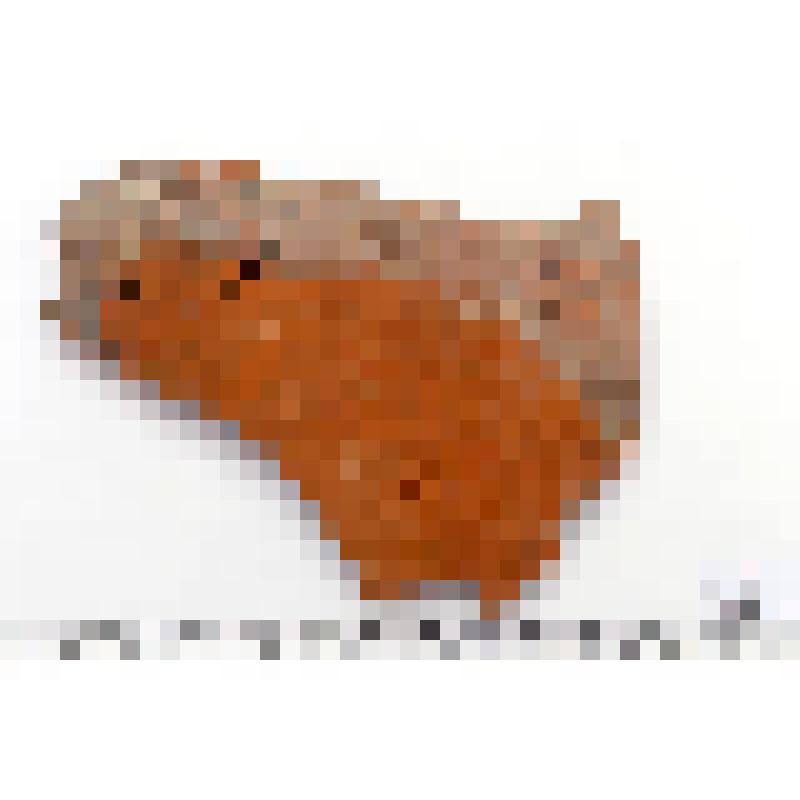 Граффити (фрагмент рисунка) на плечике амфоры Мх.-96 Я.-10 оп.137