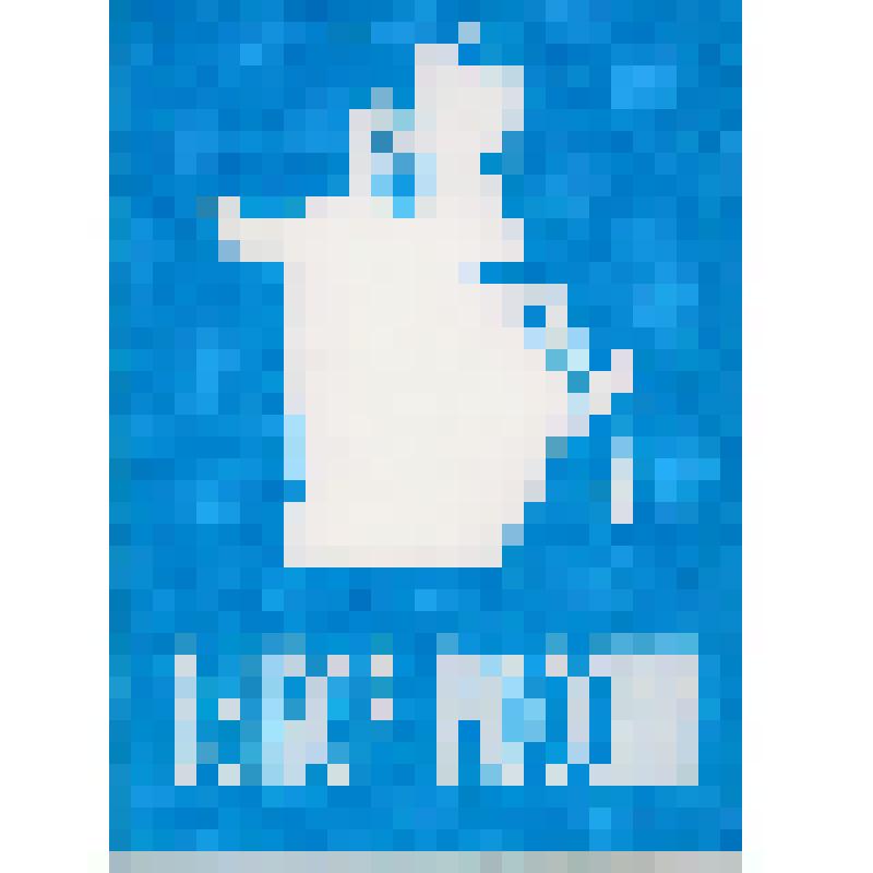 Документ. Мандат № 243 Кривченко А.А., делегата учредительного съезда партии "Выбор России"