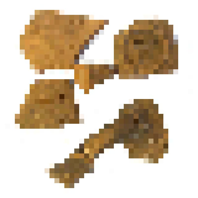 Канфар фрагментированный