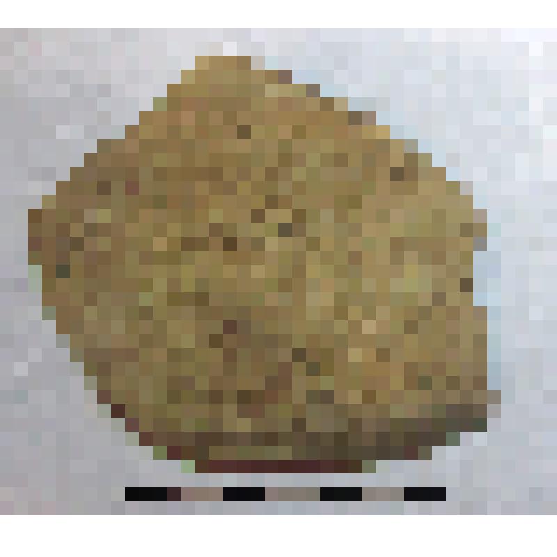 Фрагмент верхней части тулова амфоры типа D с дипинто