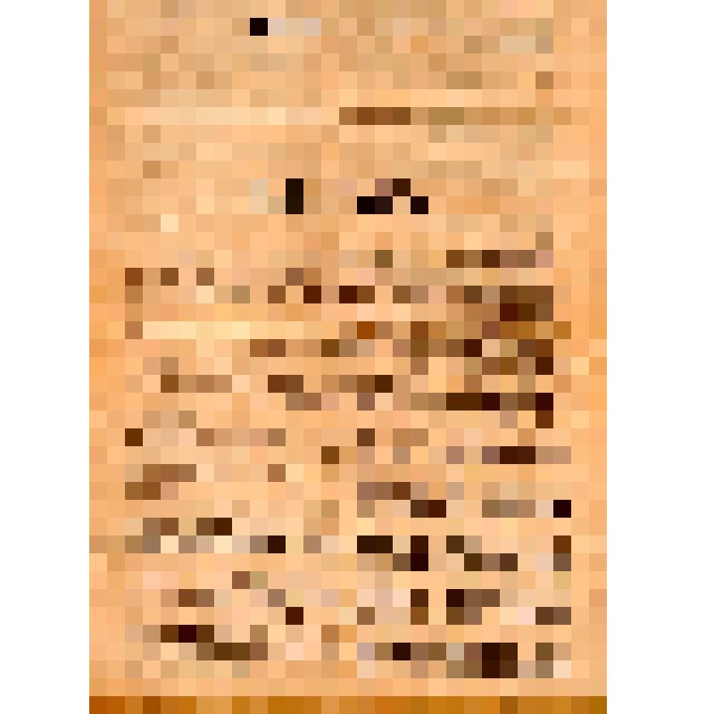 Бюро первого съезда рабочих организаций Московской губернии. 1-е МАЯ