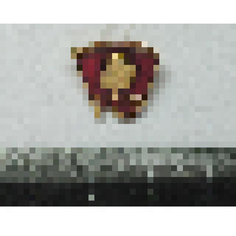 Значок члена ВЛКСМ, фрачник