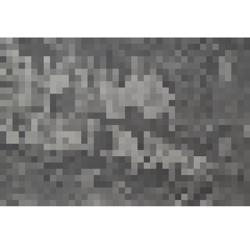 Фотография. «В Казанском зоопарке». Из набора фотографий «По следам Ленина»