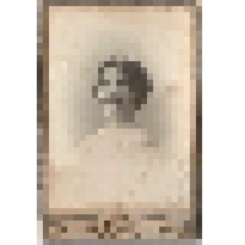 Ф/чб/п. Сорокина Женя (портрет молодой девушки, от Дизендорф). /Фот. Г.В. Трунов. Москва. Нач. ХХ в