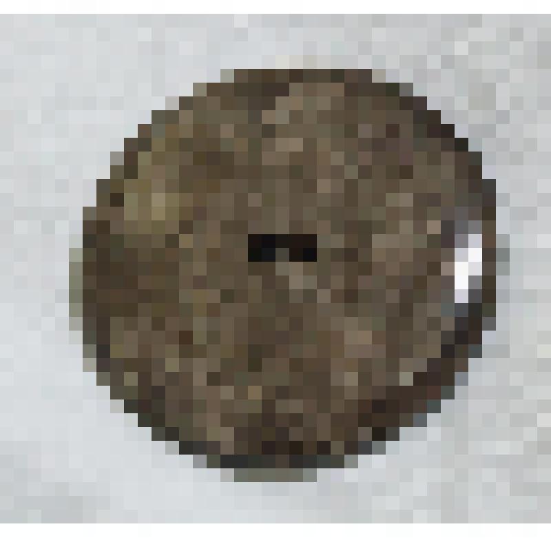 Пуговица пальтовая, из коллекции бытовых вещей семьи Орловой Калерии Николаевны, бывшей заведующей лабораторией Саратовского областного туберкулезного диспансера