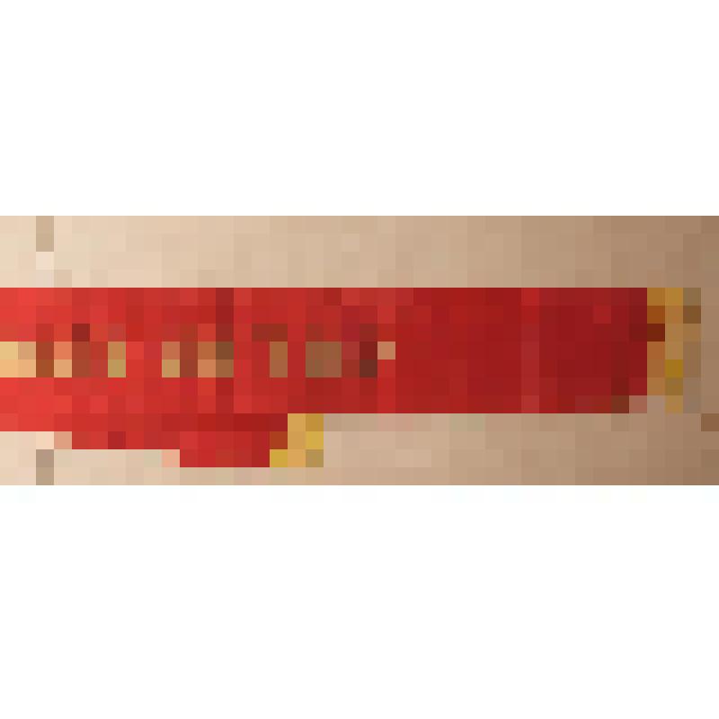 Лента нагрудная наградная «Мастер спорта СССР» Николаева Андрея Геннадиевича, из коллекции материалов о Российской парусной команде "Синергия" и ее членах-саратовцах