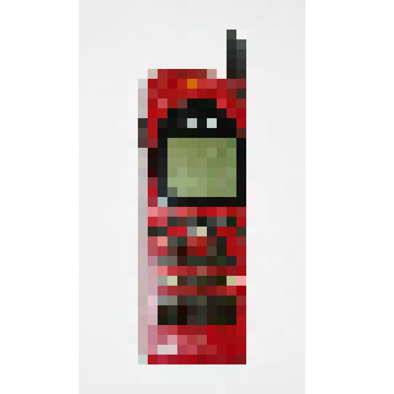 Телефон мобильный Nokia 2110 (NHE-4NX)