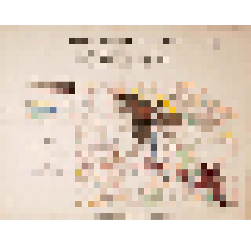 Карта. Условные знаки для иллюминовки планов насаждений, введенные в Пермском нераздельном имении Его Сиятельства Графа Сергея Александровича Строганова