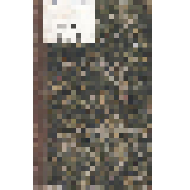 Журнал. Отечественные записки. Учено-литературный журнал, издаваемый А. Краевским. Т. 118. № 5. Май. СПб.: В типографии И.И. Глазунова и Комп., 1858г