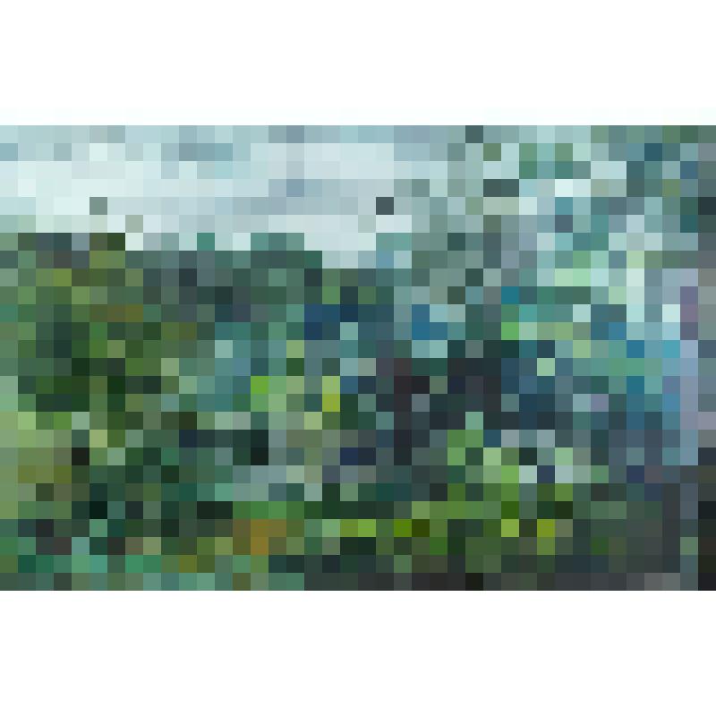 Картина "Летний дождь"