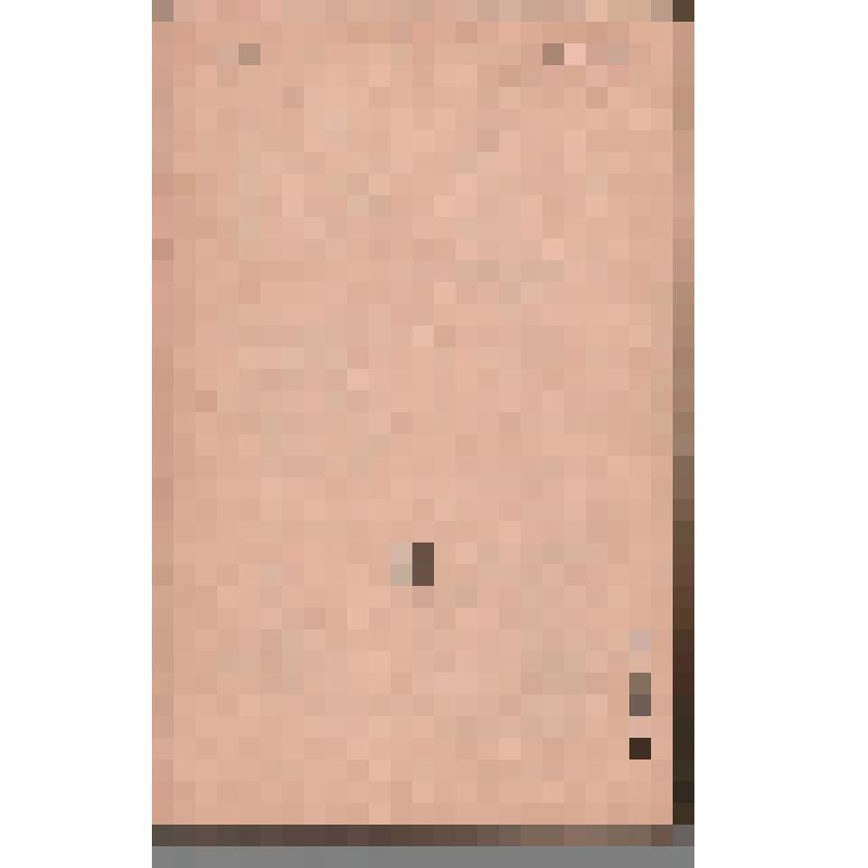 Журнал. Нева