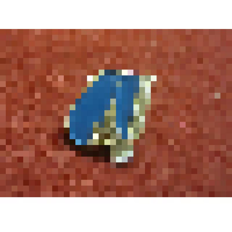 Значок. Ленинград. Главное Адмиралтейство