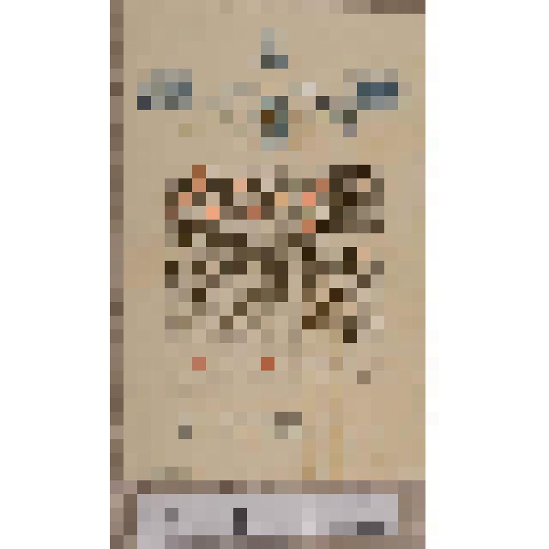 Литографическая копия грамоты корабельным вожам (1613-1913 гг.), отпечатанная к 300-летнему юбилею Архангельских лоцманов имени царя Михаила Федоровича. 8 ноября 1913 г