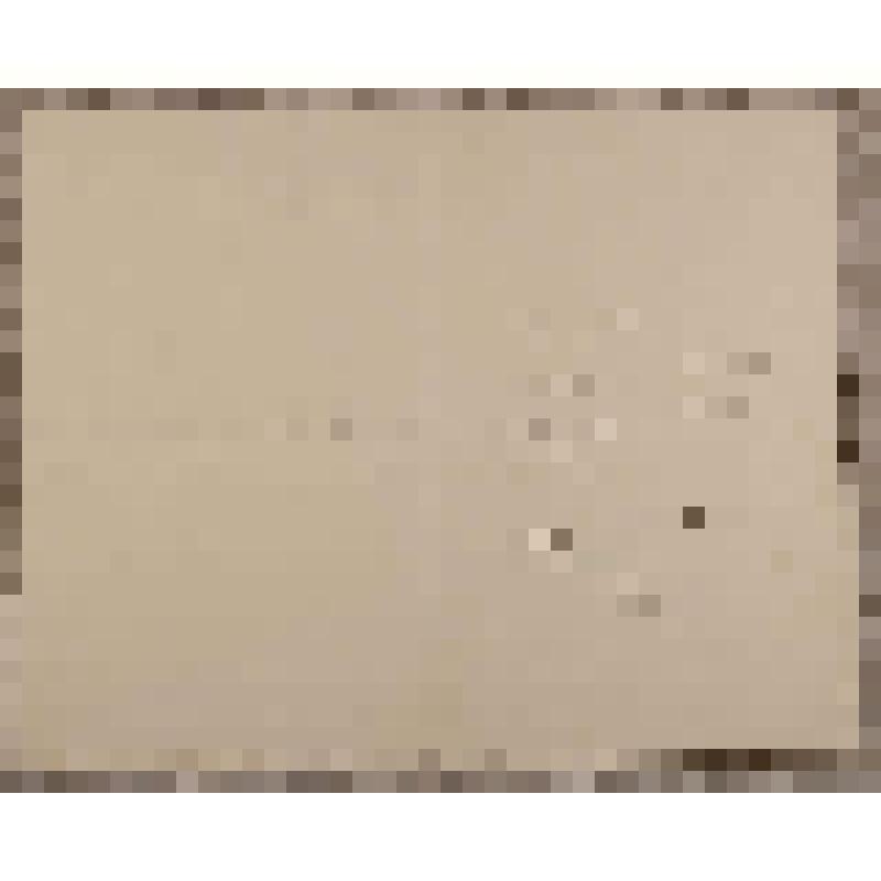 Литографическая копия грамоты корабельным вожам (1613-1913 гг.), отпечатанная к 300-летнему юбилею Архангельских лоцманов имени царя Михаила Федоровича. 8 ноября 1913 г