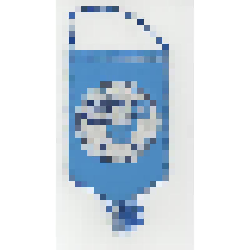 Вымпел. Праздник народов Севера, г. Новый Уренгой