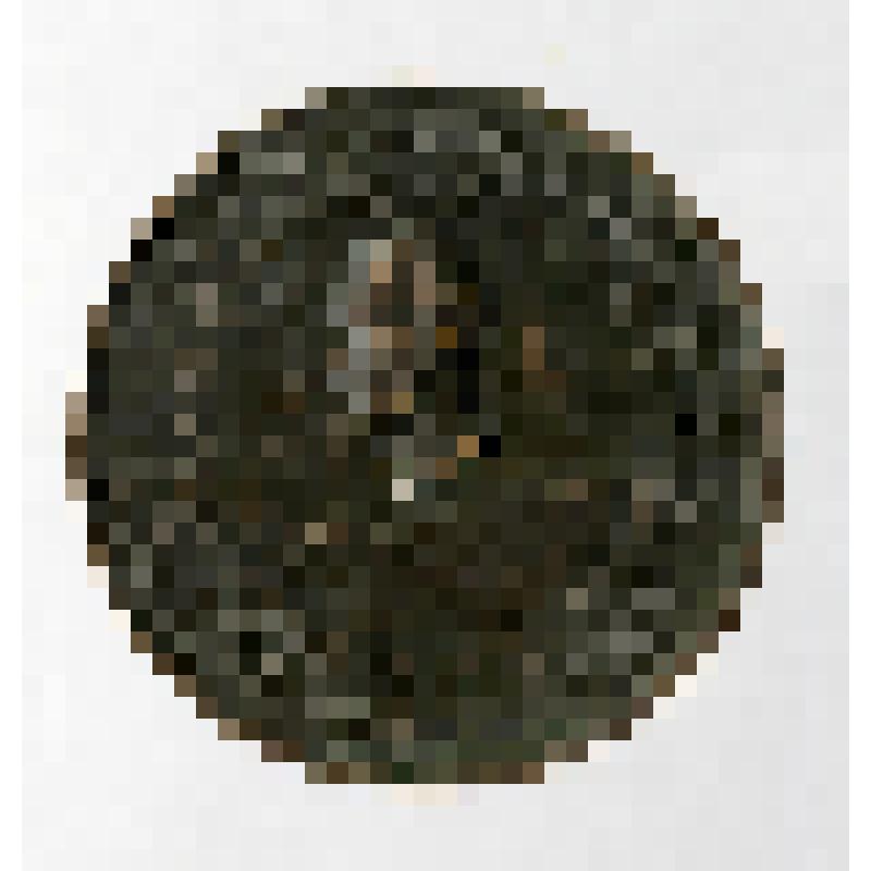 Медаль памятная, посвященная обществу акклиматизации животных и растений