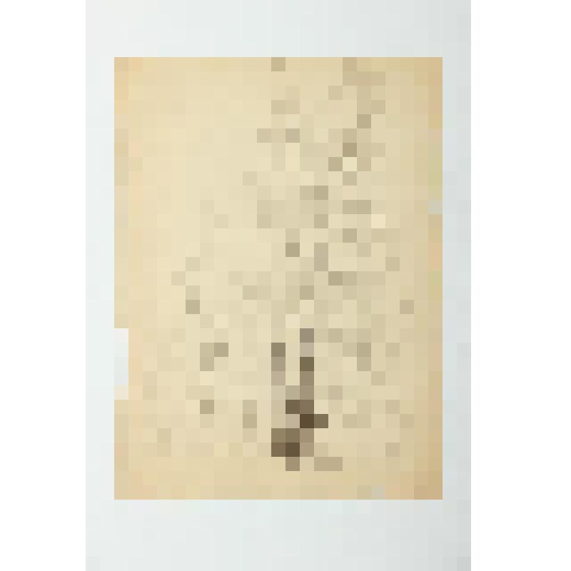 Без названия (Пейзаж. Два высоких дерева). Графика